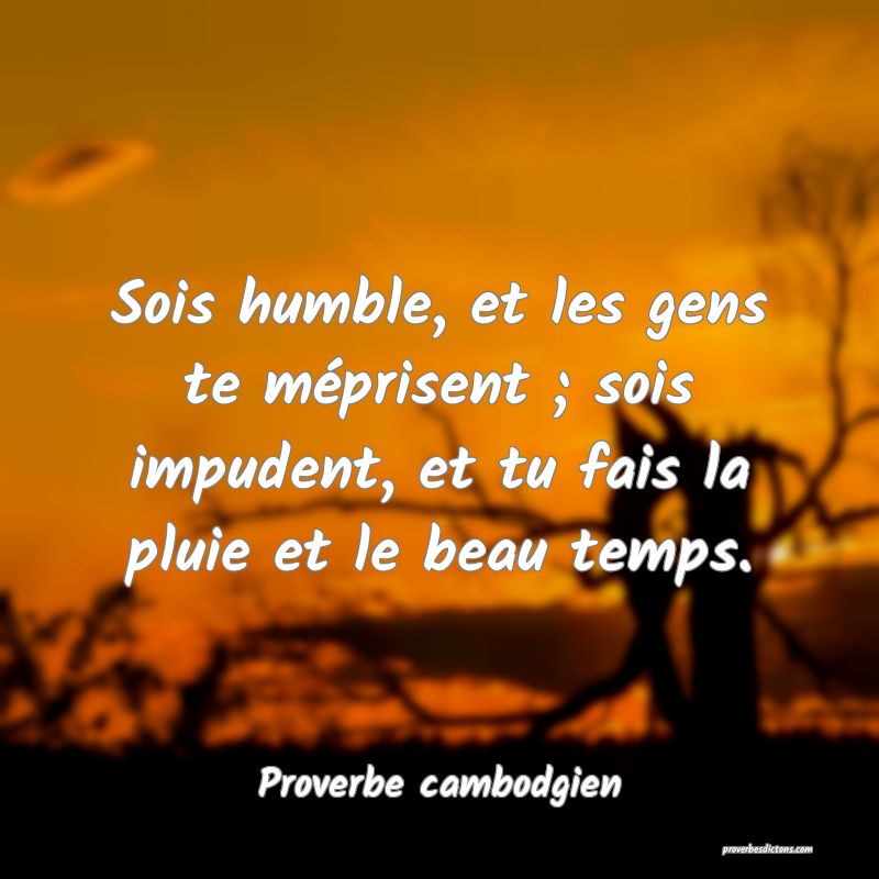 Sois humble, et les gens te méprisent ; sois impudent, et tu fais la pluie et le beau temps.