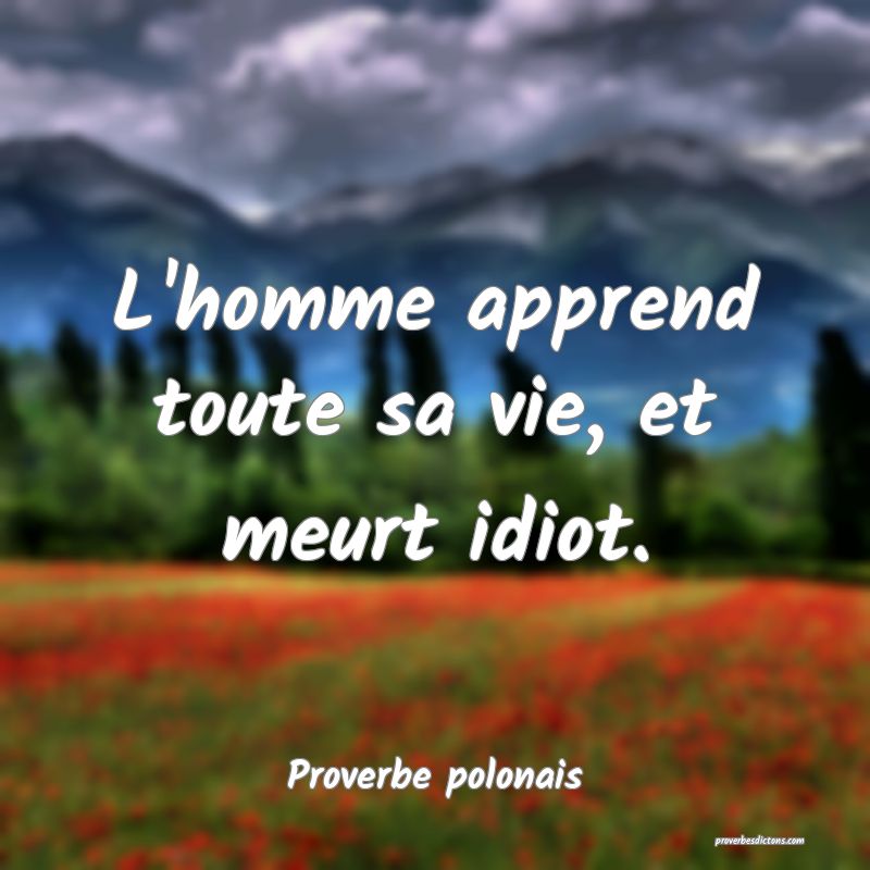L'homme apprend toute sa vie, et meurt idiot.