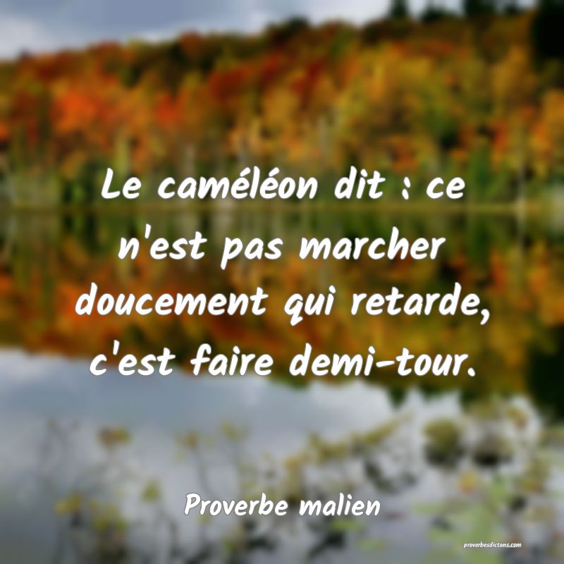 Le caméléon dit : ce n'est pas marcher doucement qui retarde, c'est faire demi-tour.