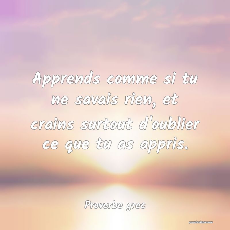 Apprends comme si tu ne savais rien, et crains surtout d'oublier ce que tu as appris.