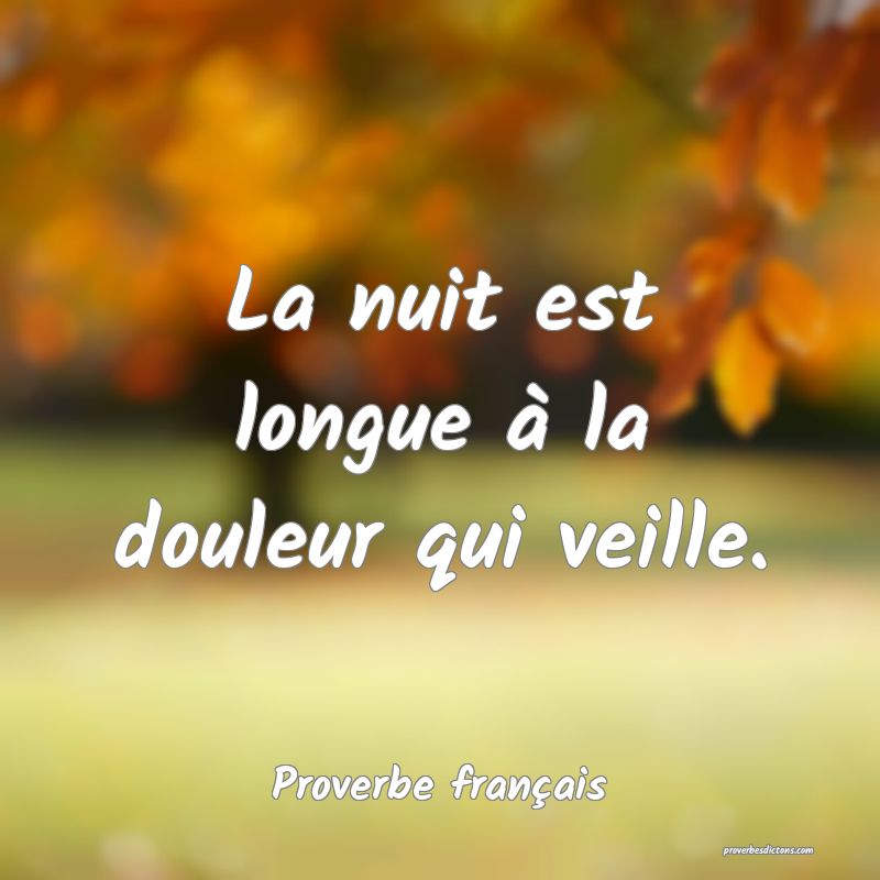 La nuit est longue à la douleur qui veille.
