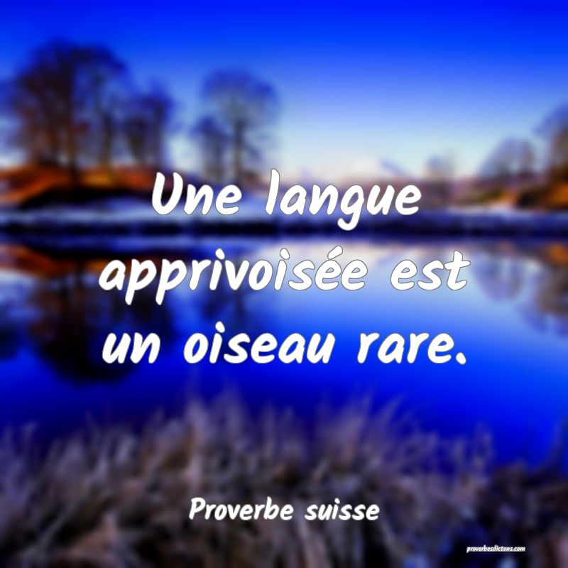  Une langue apprivoisée est un oiseau rare.