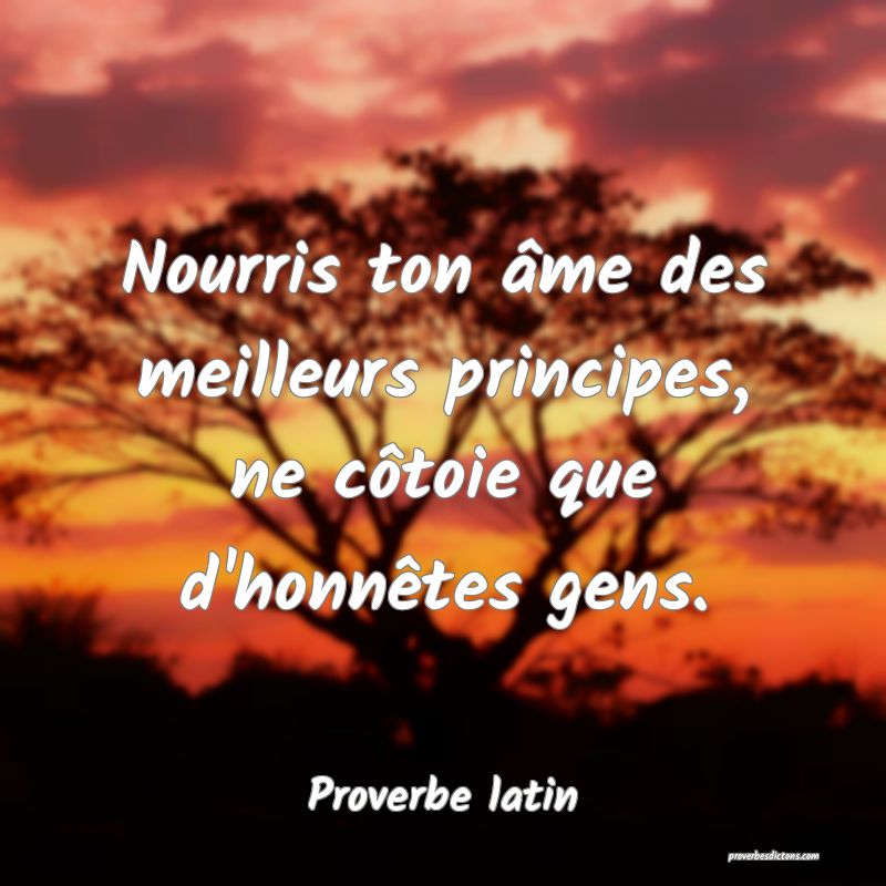 Nourris ton âme des meilleurs principes, ne côtoie que d'honnêtes gens.