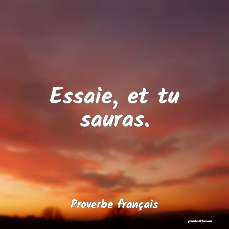 Essaie, et tu sauras.