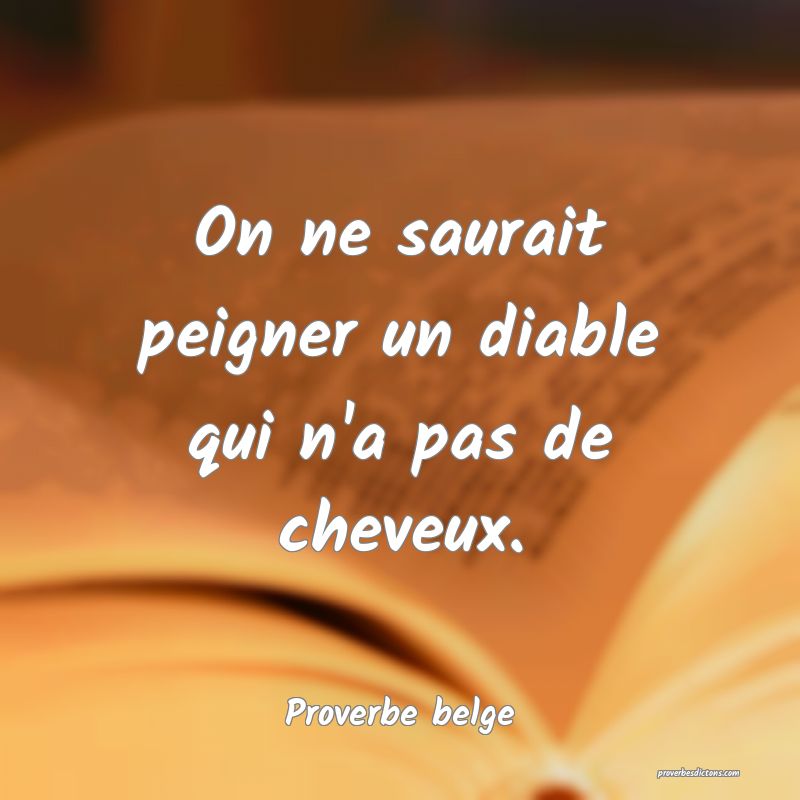 On ne saurait peigner un diable qui n'a pas de cheveux.