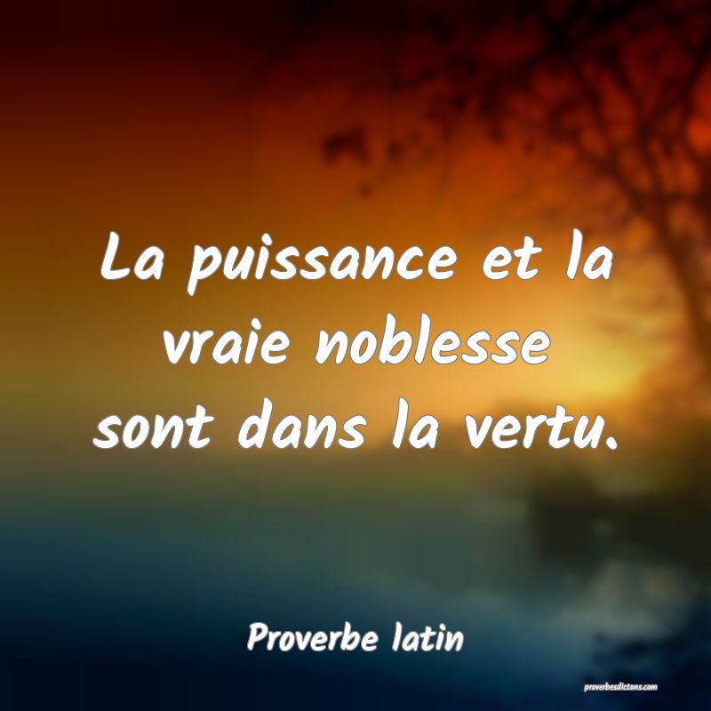 La puissance et la vraie noblesse sont dans la vertu.