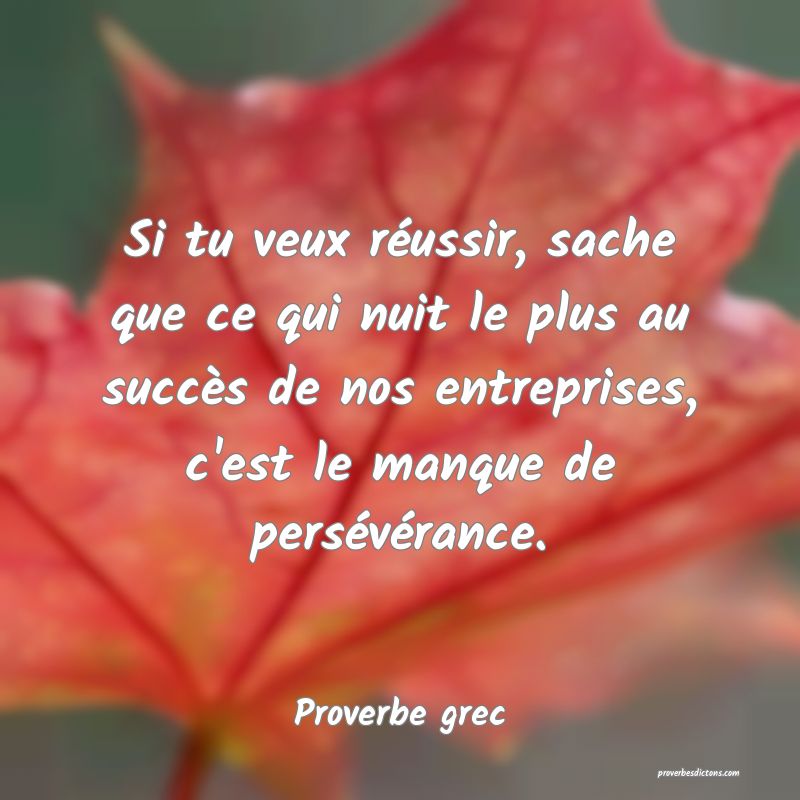 Si tu veux réussir, sache que ce qui nuit le plus au succès de nos entreprises, c'est le manque de persévérance.