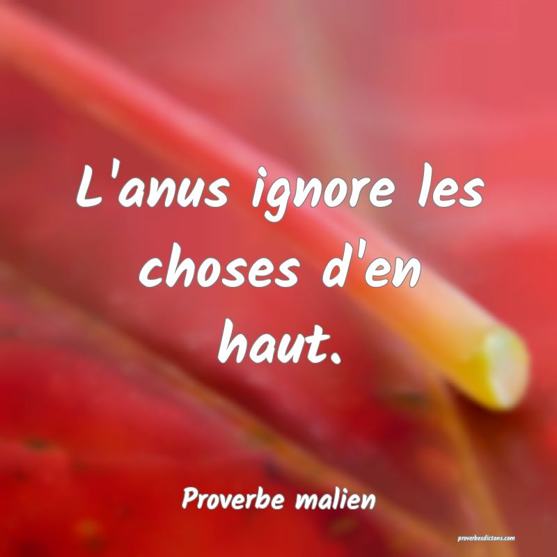 L'anus ignore les choses d'en haut.