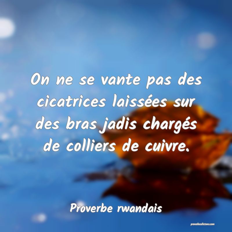 On ne se vante pas des cicatrices laissées sur des bras jadis chargés de colliers de cuivre.