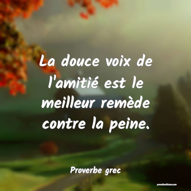 La douce voix de l'amitié est le meilleur remède contre la peine.