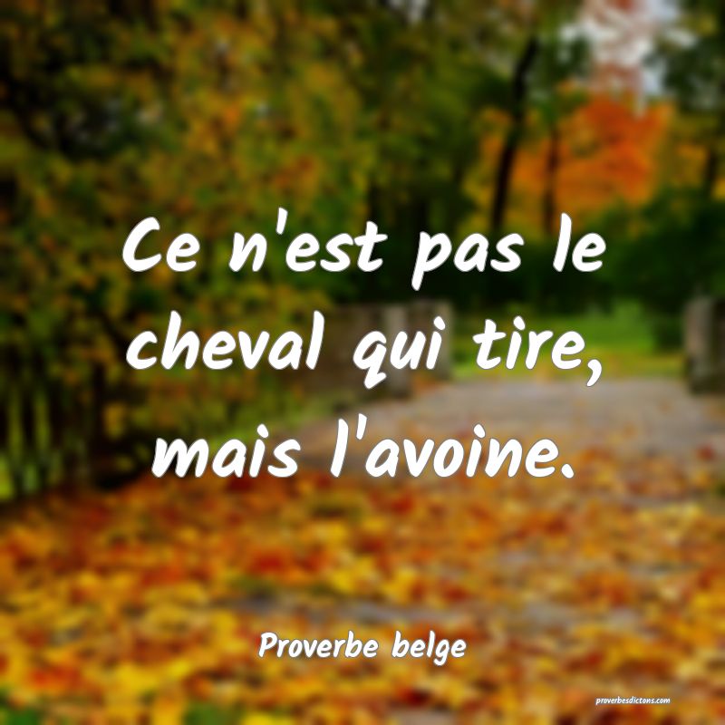  Ce n'est pas le cheval qui tire, mais l'avoine.