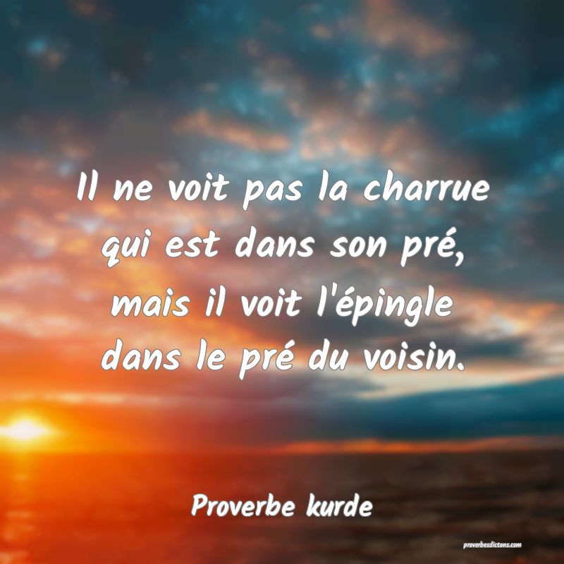 Il ne voit pas la charrue qui est dans son pré, mais il voit l'épingle dans le pré du voisin.