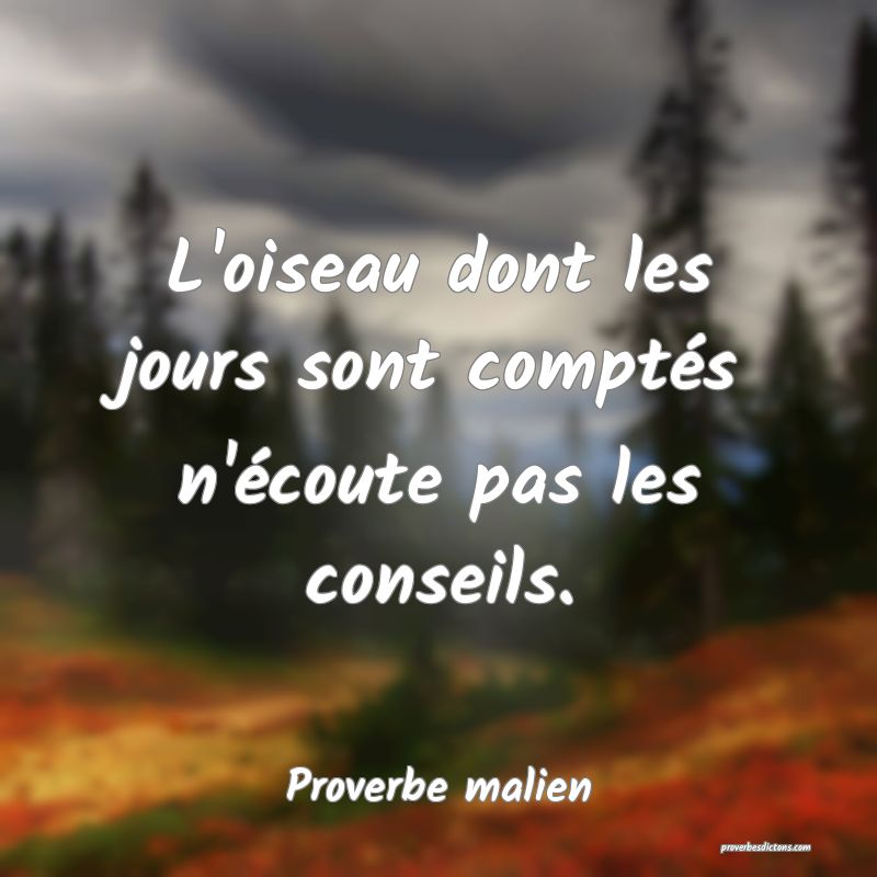 L'oiseau dont les jours sont comptés n'écoute pas les conseils.