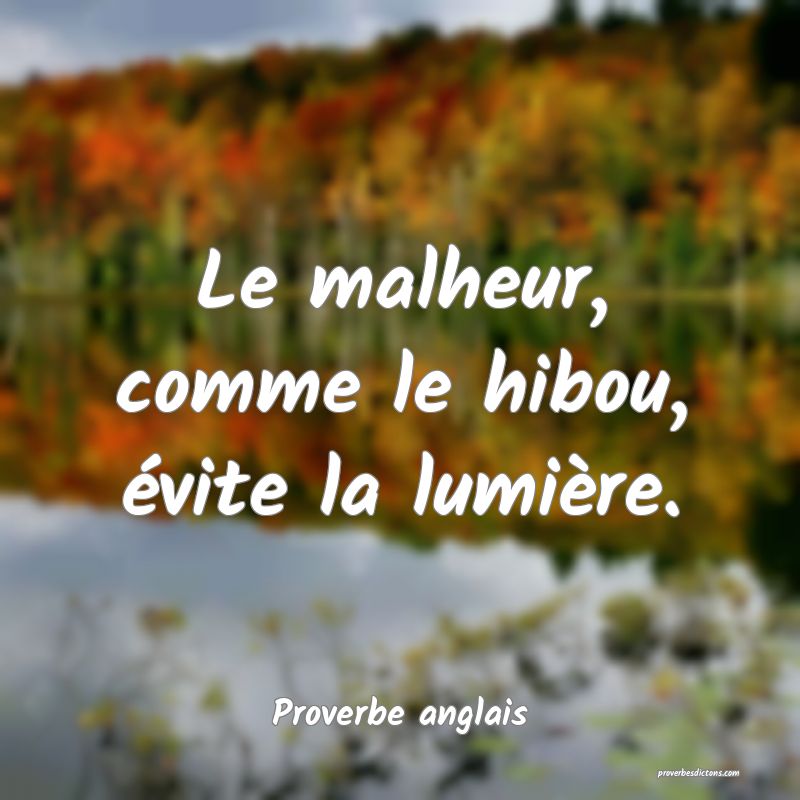 Le malheur, comme le hibou, évite la lumière.
