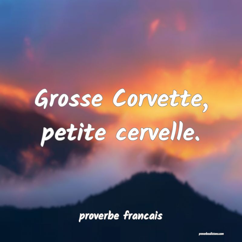  Grosse Corvette, petite cervelle.