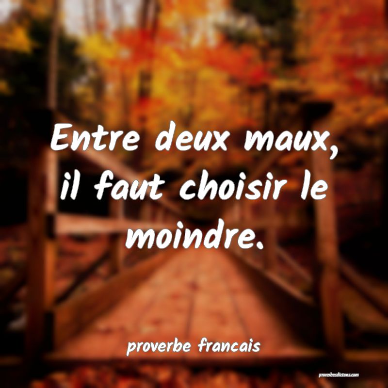  Entre deux maux, il faut choisir le moindre.