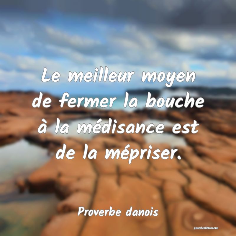 Le meilleur moyen de fermer la bouche à la médisance est de la mépriser.