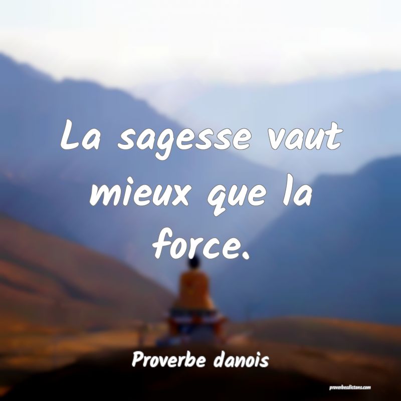 La sagesse vaut mieux que la force.