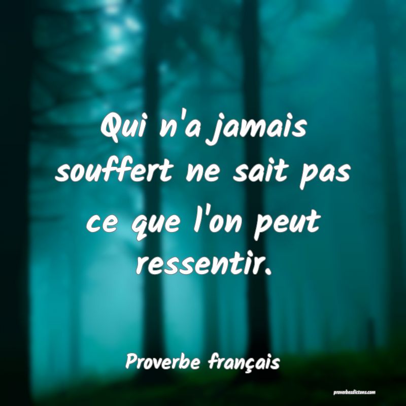 Qui n'a jamais souffert ne sait pas ce que l'on peut ressentir.