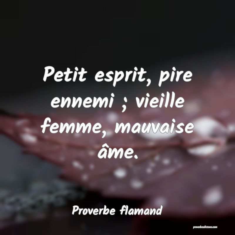 Petit esprit, pire ennemi ; vieille femme, mauvaise âme.