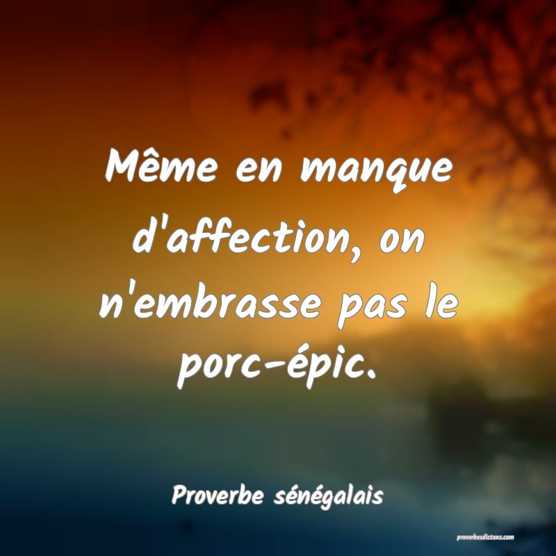 Même en manque d'affection, on n'embrasse pas le porc-épic.