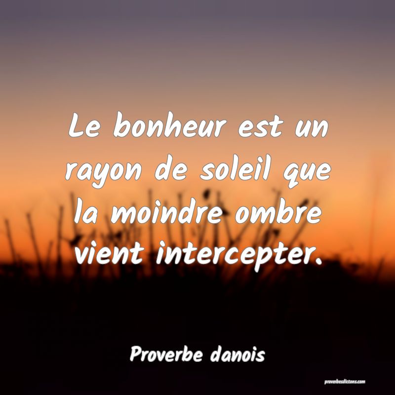 Le bonheur est un rayon de soleil que la moindre ombre vient intercepter.