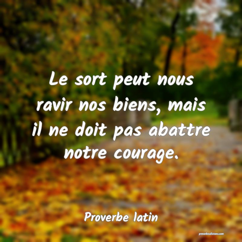 Le sort peut nous ravir nos biens, mais il ne doit pas abattre notre courage.