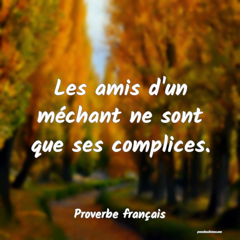 Les amis d'un méchant ne sont que ses complices.
