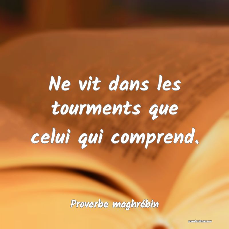 Ne vit dans les tourments que celui qui comprend.