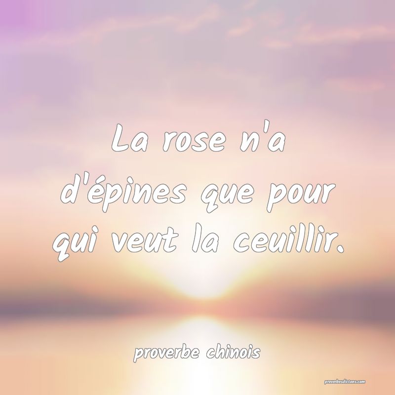 La rose n'a d'épines que pour qui veut la ceuillir.