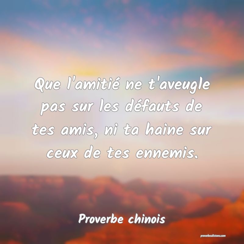 Que l'amitié ne t'aveugle pas sur les défauts de tes amis, ni ta haine sur ceux de tes ennemis.