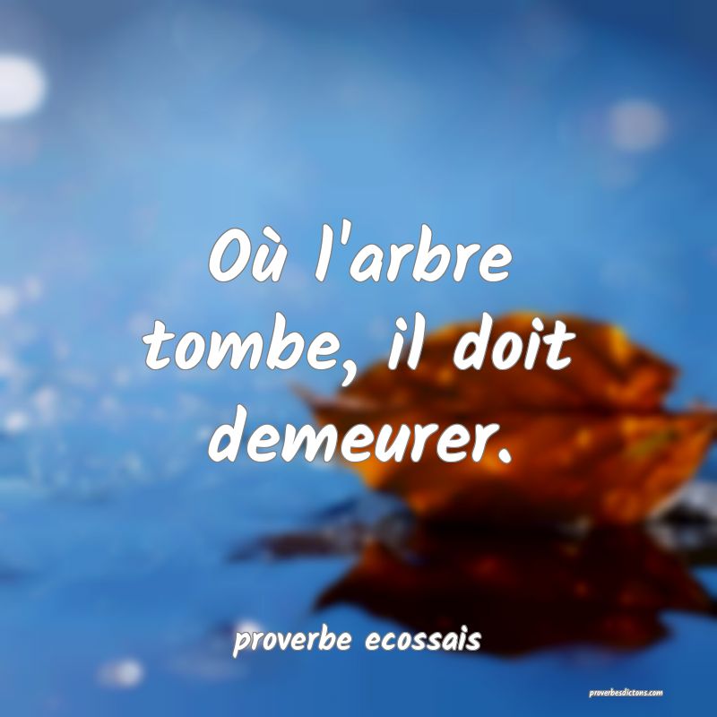 Où l'arbre tombe, il doit demeurer.