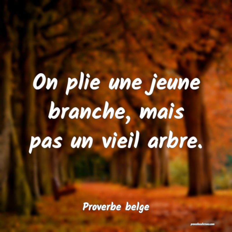  On plie une jeune branche, mais pas un vieil arbre.