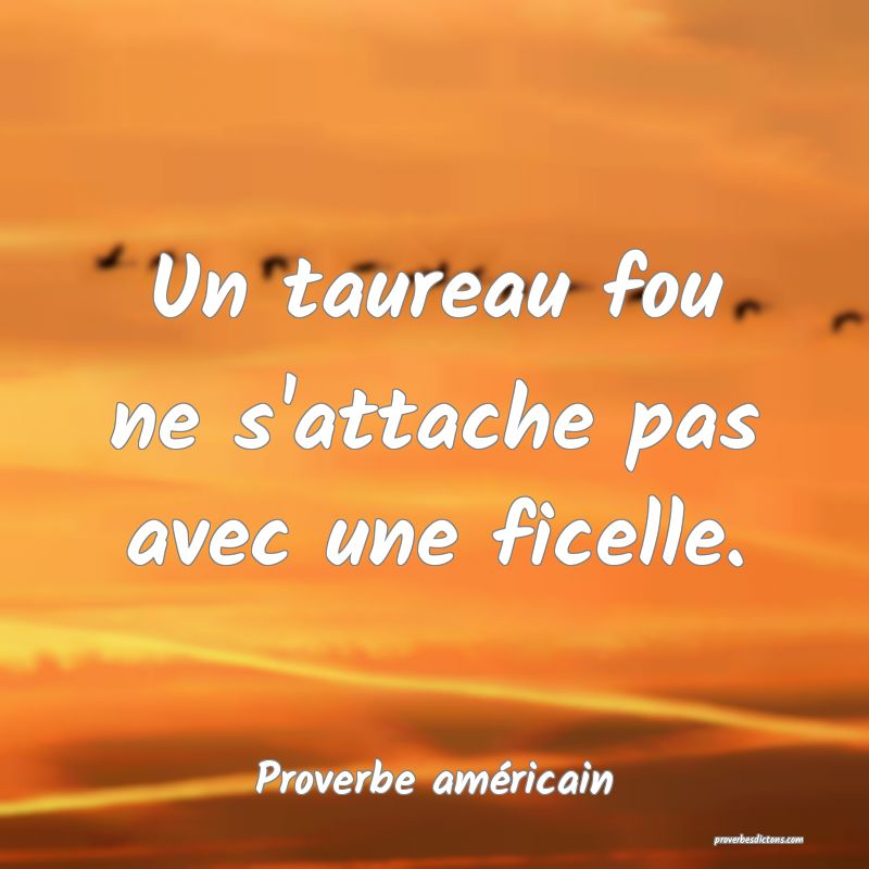Un taureau fou ne s'attache pas avec une ficelle.