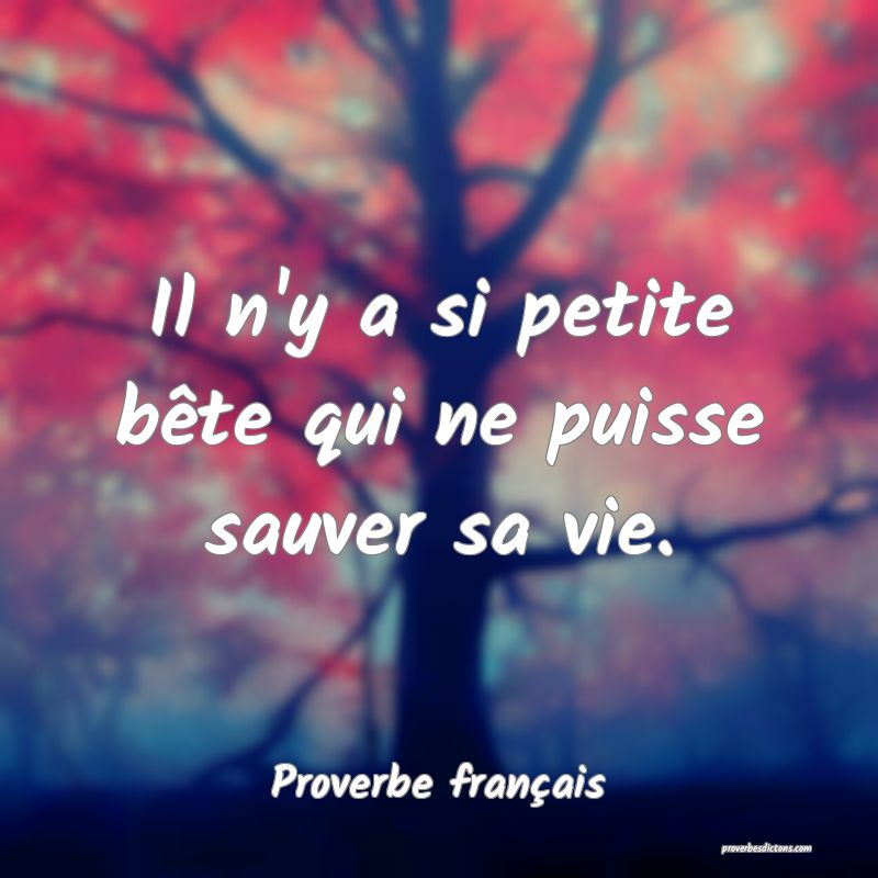 Il n'y a si petite bête qui ne puisse sauver sa vie.