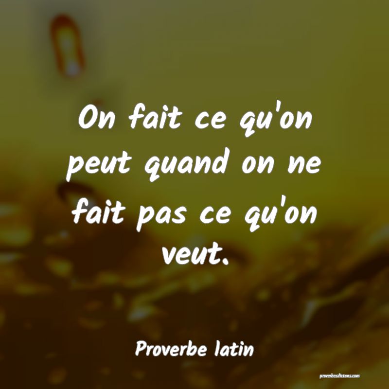 On fait ce qu'on peut quand on ne fait pas ce qu'on veut.