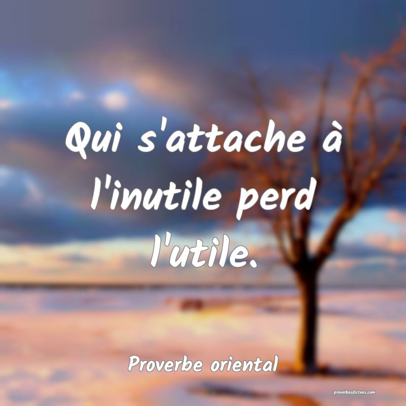 Qui s'attache à l'inutile perd l'utile.