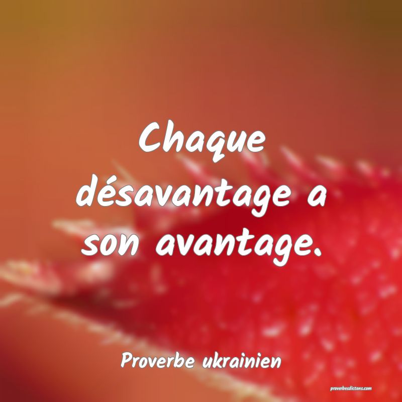 Chaque désavantage a son avantage.
