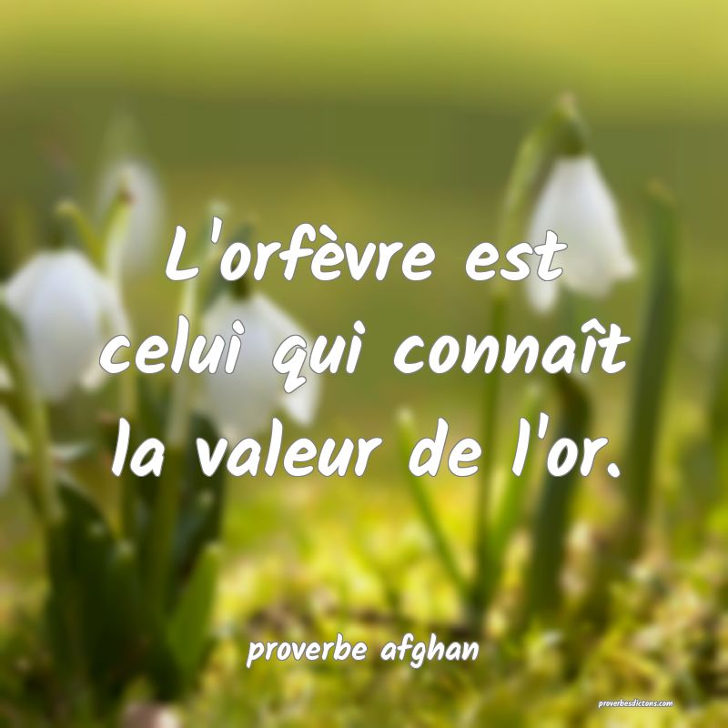 L'orfèvre est celui qui connaît la valeur de l'or.
