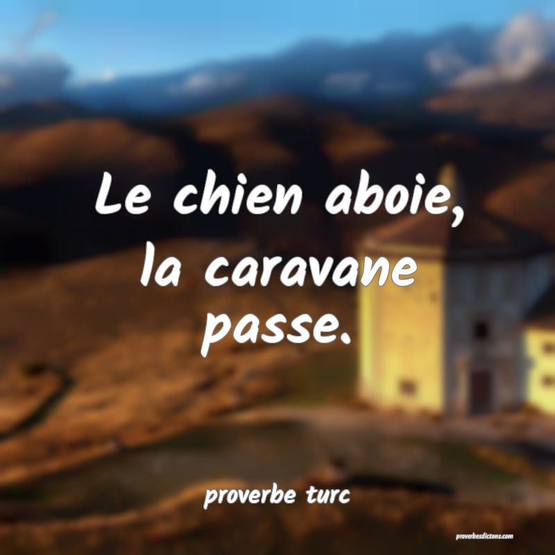  Le chien aboie, la caravane passe.