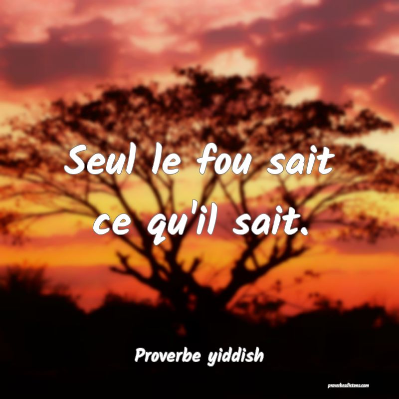 Seul le fou sait ce qu'il sait.