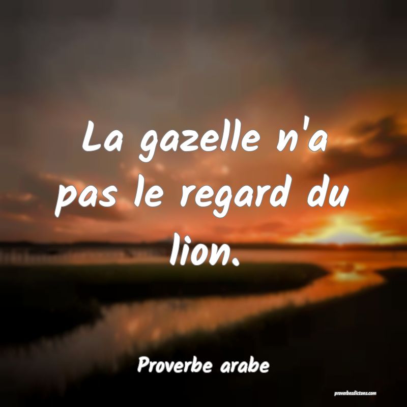 La gazelle n'a pas le regard du lion.