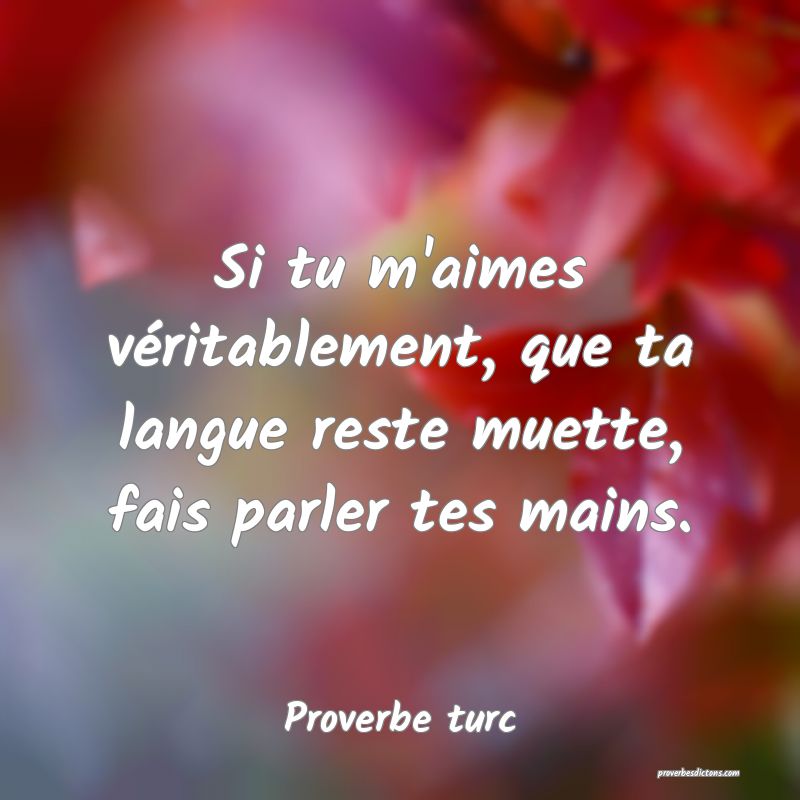 Si tu m'aimes véritablement, que ta langue reste muette, fais parler tes mains.