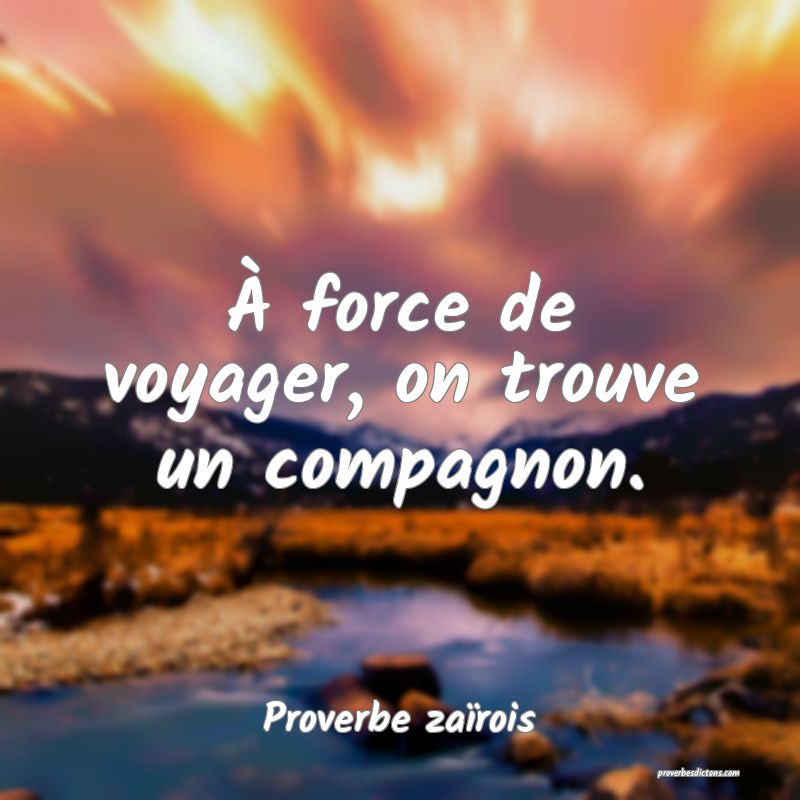 À force de voyager, on trouve un compagnon.