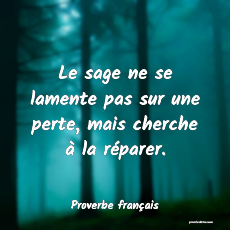 Le sage ne se lamente pas sur une perte, mais cherche à la réparer.