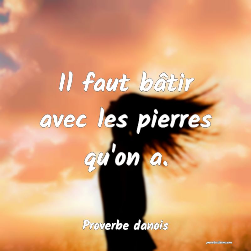Il faut bâtir avec les pierres qu'on a.