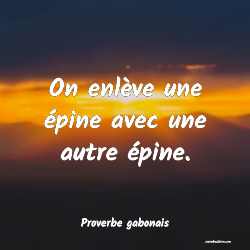 On enlève une épine avec une autre épine.