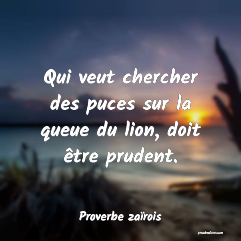 Qui veut chercher des puces sur la queue du lion, doit être prudent.