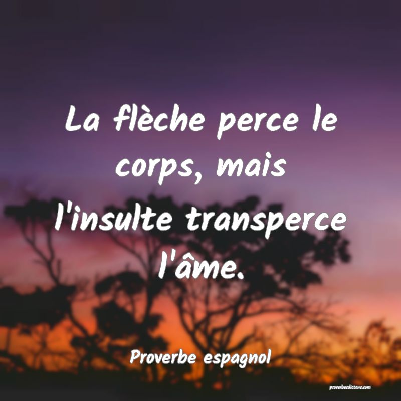 La flèche perce le corps, mais l'insulte transperce l'âme.