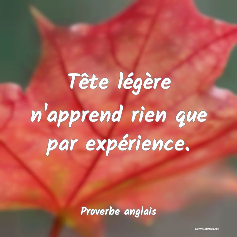  Tête légère n'apprend rien que par expérience.